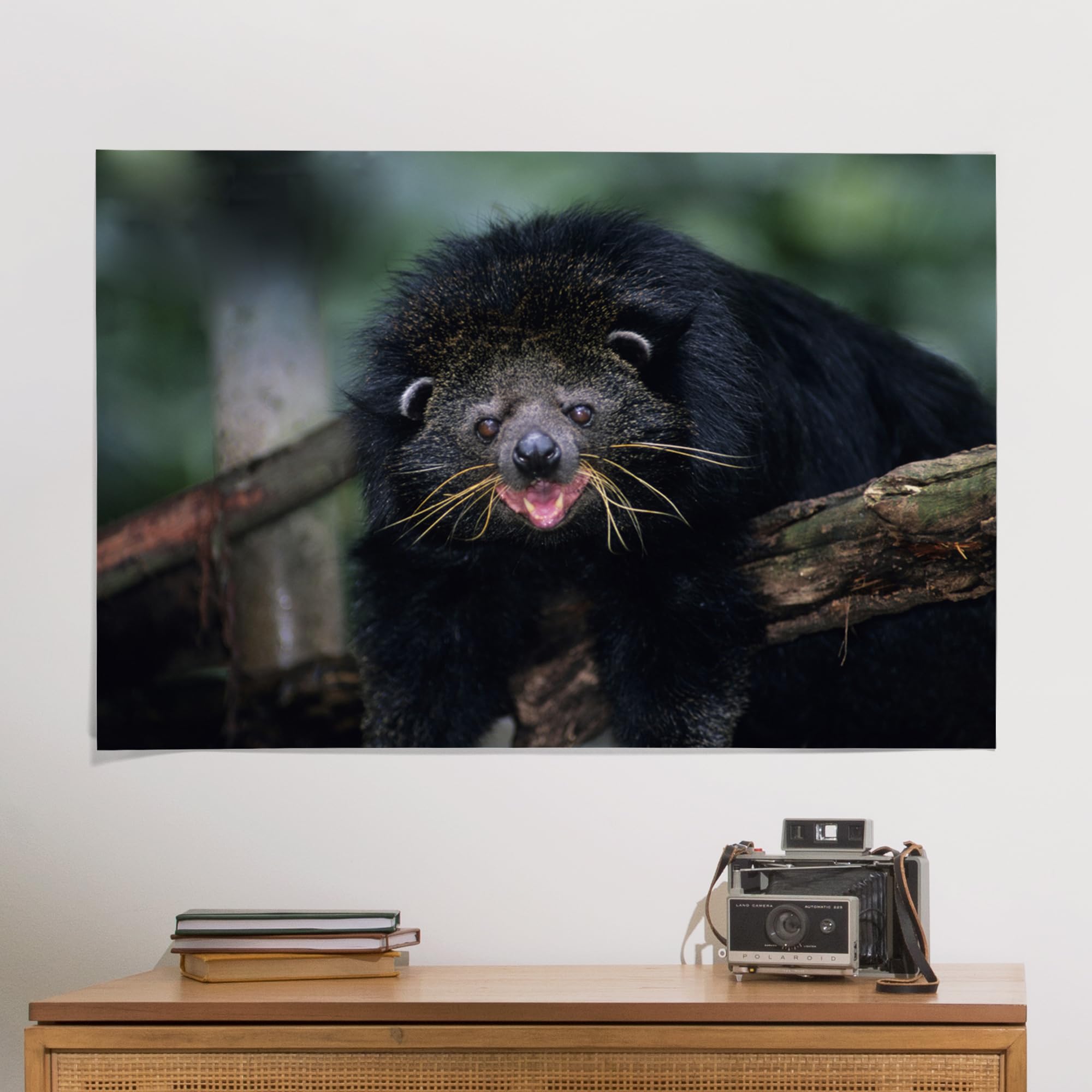 Lantern Press 24x36 Inch Giclee Art Print - Binturong (Bearcat) Wildlife Wall Decor | Premium Canvas Painting for Living Room, Bedroom & Office