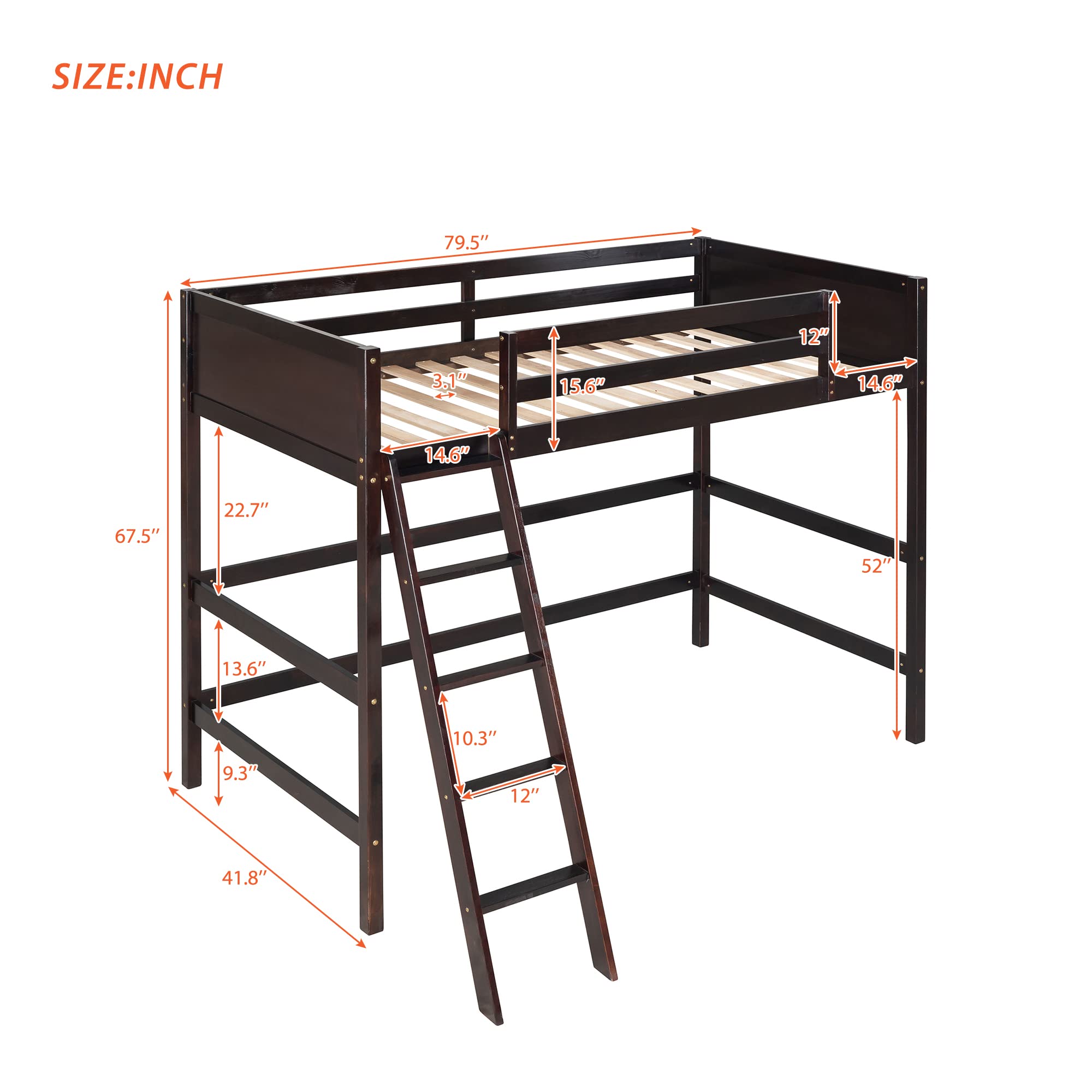 P PURLOVE Twin Loft Bed Frame with Angled Ladder - Solid Wood Loft Bed for Kids & Teens (Espresso Finish) - Space-Saving Bedroom Solution for Small Rooms & Dormitories