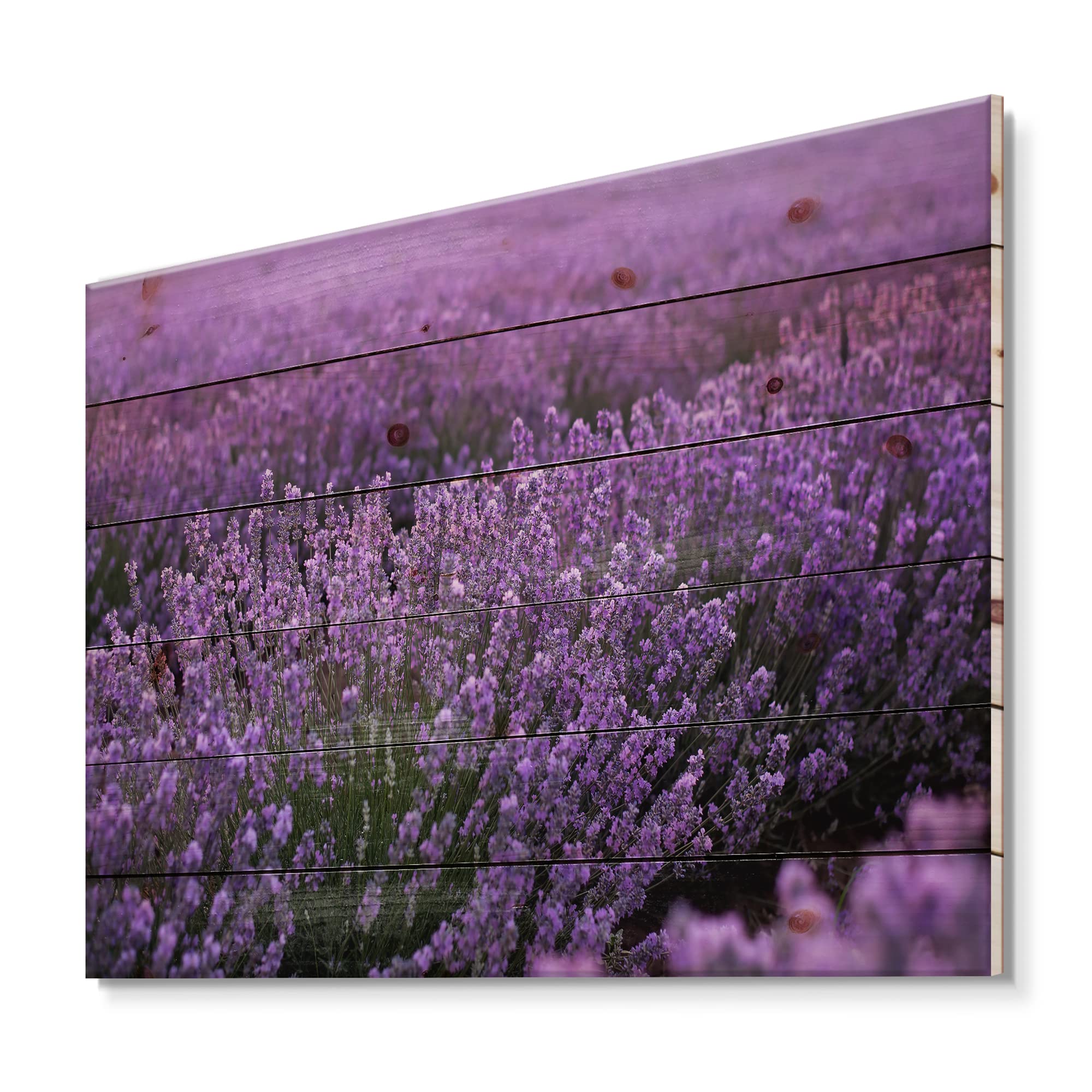 Blooming Purple Lavender Field Farmhouse Wood Wall Art - Large Landscape Pine Wood Panel Decor for Living Room, Bedroom & Office