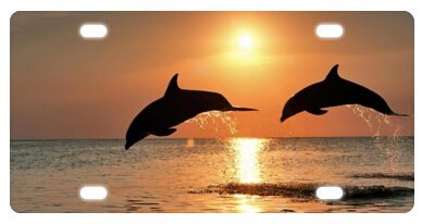 Dolphin Sunset Beach Novelty License Plate - 6