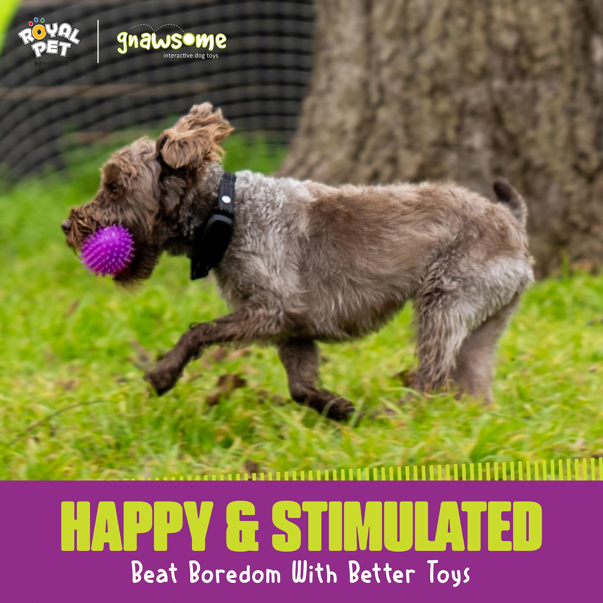 Durable Dog Chew Toys for Heavy Chewers - BPA-Free Football with Squeaker - Dental Care & Playtime Fun