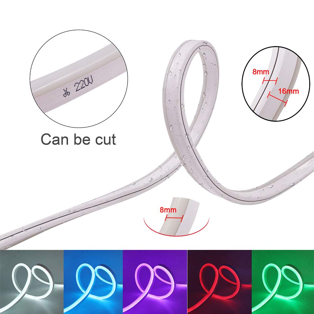 XUNATA 30ft RGB LED Neon Rope Light with Bluetooth Remote Control - 5050 60 LEDs/m, Dimmable, Waterproof IP65, 110-130V AC - Perfect for Commercial Buildings, Outdoor Decor, Bars, and Party Lighting (9m)