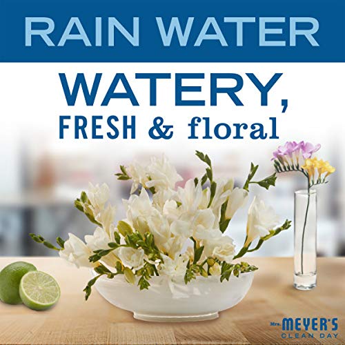 Mrs. Meyer's Clean Day Hand Soap with Essential Oils | Biodegradable, Rain Water Scent | 12.5 fl oz (Pack of 6) | Gentle for Daily Hand Washing, Kitchen & Bathroom Use
