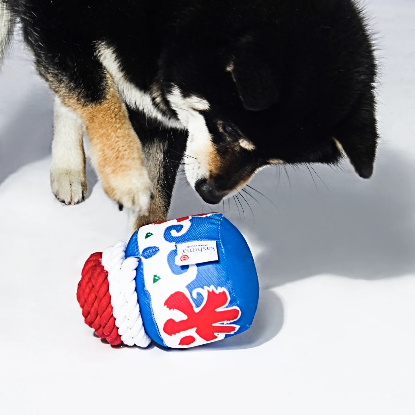 Durable Kashima Chew Dog Toy for Aggressive Chewers - Shaved Ice Design - Interactive Pet Chewing Toy for Small & Large Dogs - Perfect for Teething, Boredom Relief & Dental Health