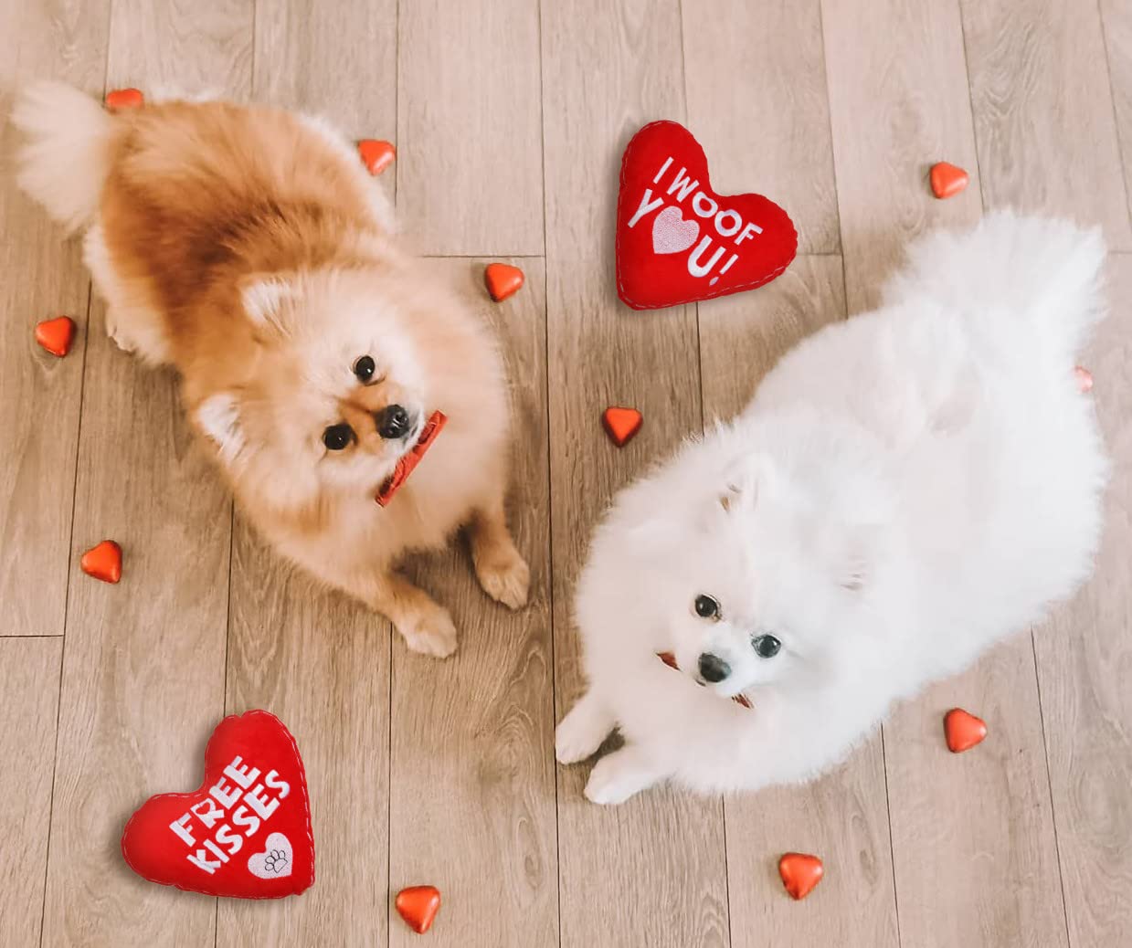 BoomBone Valentine's Day Plush Squeaky Dog Toy with Heart Shape - Soft Chew Toy for Small & Medium Dogs - Perfect for Playtime, Training & Valentine's Gifts for Pets