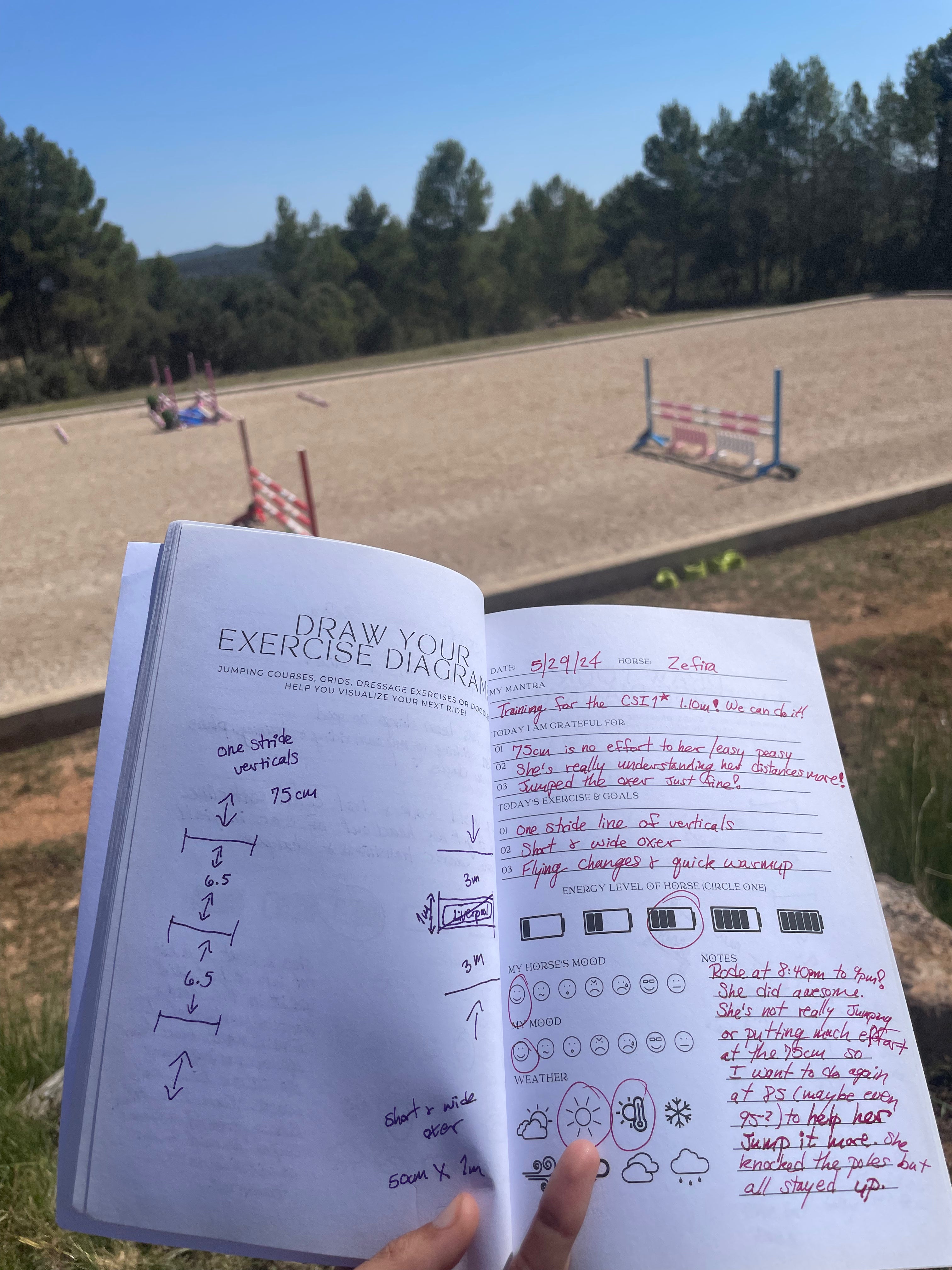 90-Day Horse Riding Training Journal - Track Progress & Improve Skills | Perfect for Equestrian Enthusiasts & Beginners | Ideal for Riding Lessons & Competitions