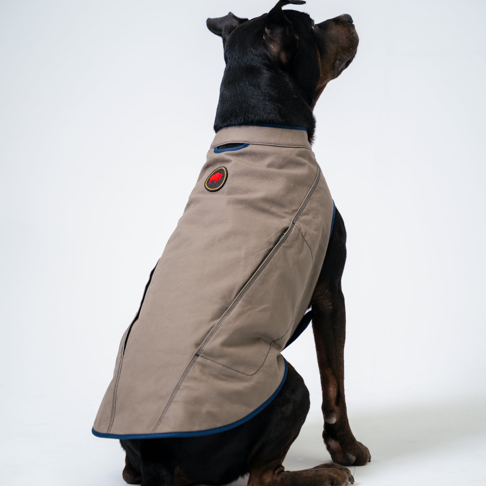 Original Dog Vest with Adjustable Straps - Comfortable & Durable Pet Harness for Small, Medium & Large Dogs - Perfect for Walking, Hiking & Outdoor Adventures