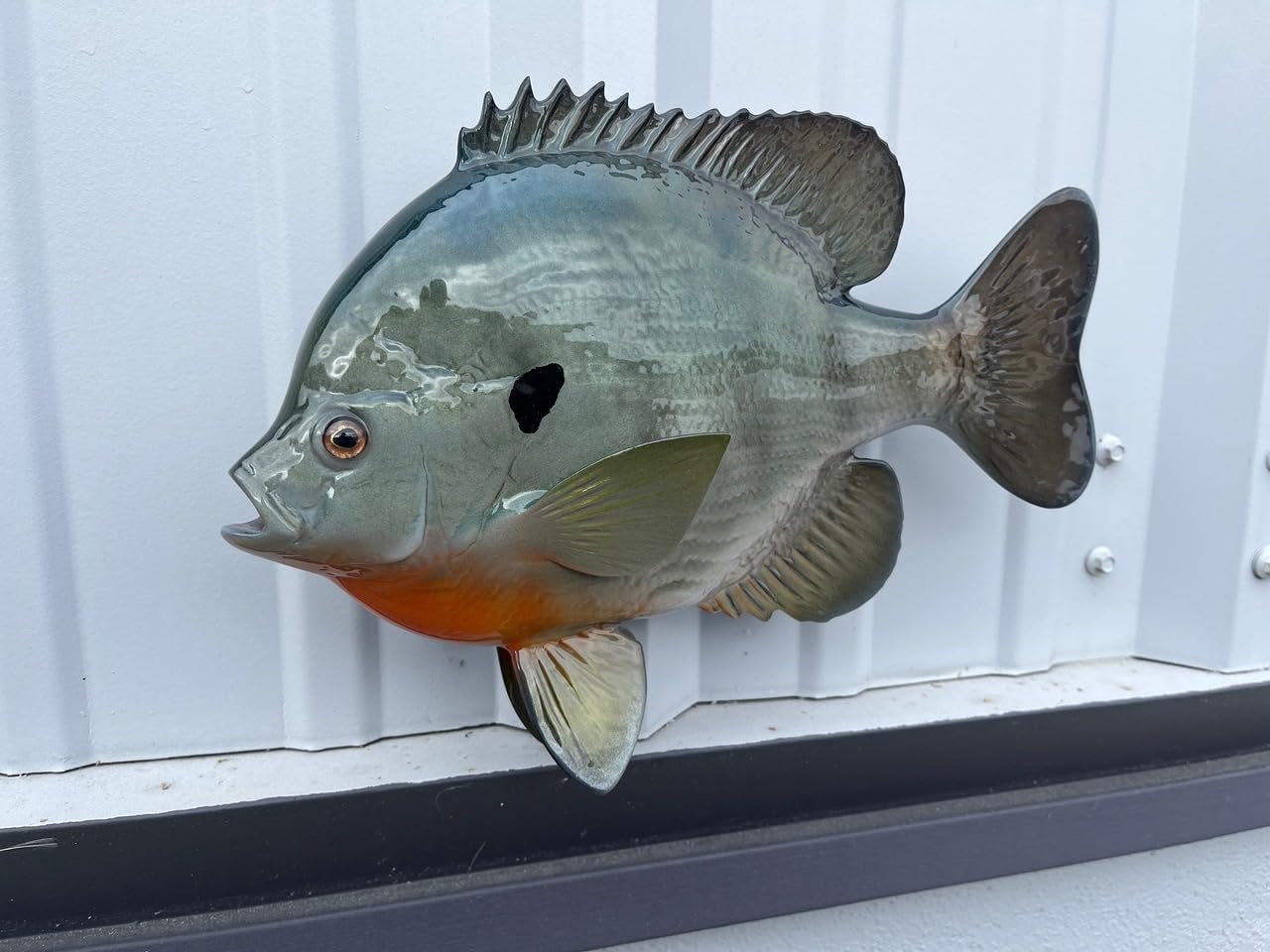 Bluegill Fish Wall Mount Replica - Lifelike Fishing Trophy & Coastal Home Decor for Living Room, Cabin, or Office