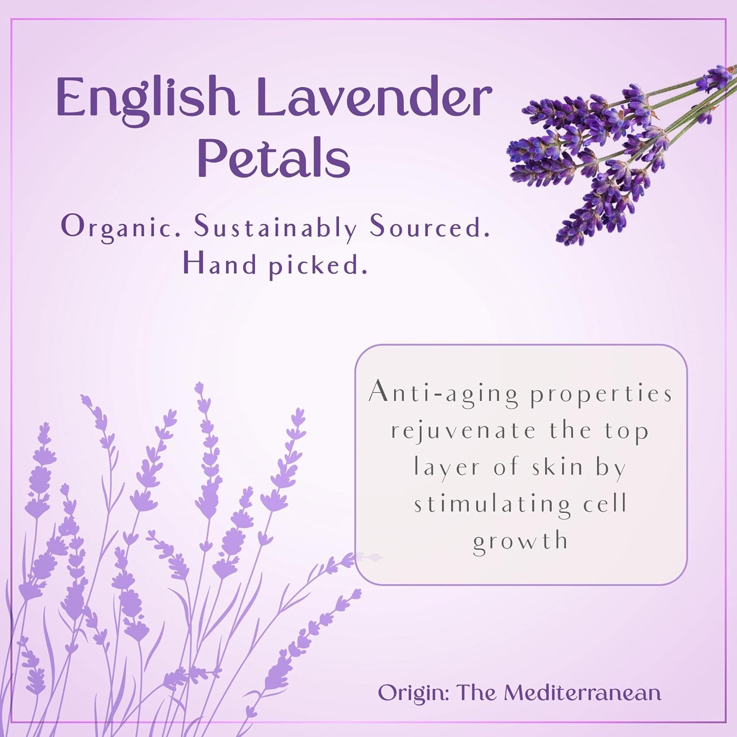 SAFA Lavender Essential Oil for Face, Body, Hair & Nails - 100% Pure Natural Moisturizing Oil for Skin Care, Aromatherapy & Diffusers | Long Lasting Fragrance Body Oil After Shower | 4 Fl Oz - Perfect for Relaxation, Massage & Home Spa Treatments