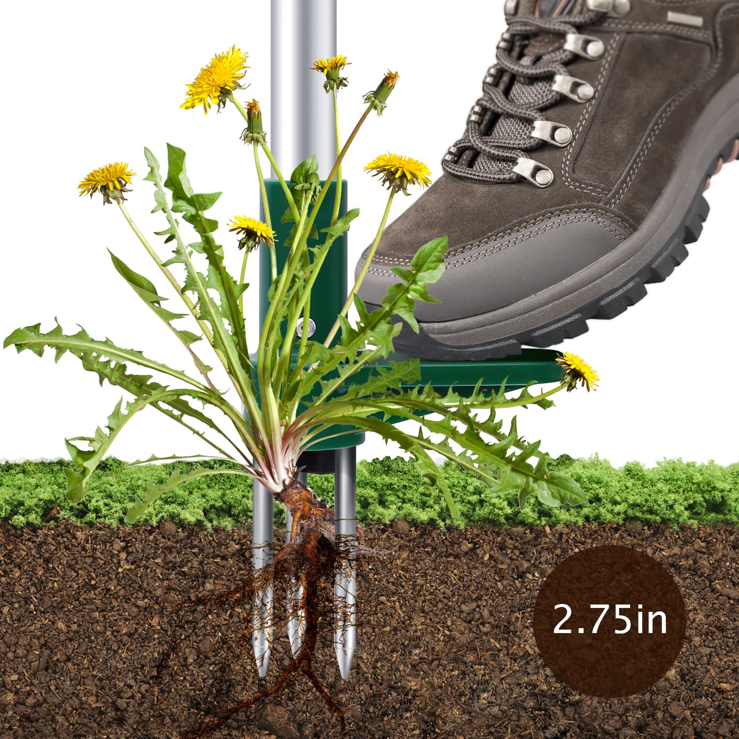 Ohuhu Stand-Up Weed Puller Tool with Long Handle - Stainless Steel 3-Claw Weed Remover for Easy Gardening - Detachable Design for Effortless Weed Removal Without Bending or Kneeling - Perfect for Seniors, Elderly & Back Pain Sufferers - Great for Lawn, Garden & Yard Maintenance