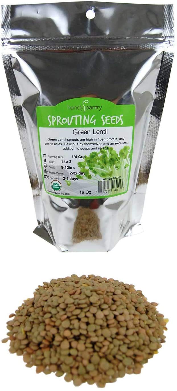 Organic Dried Green Lentil Sprouting Seeds - 1 Lb Non-GMO Lentils for Planting, Cooking, Soup & Salad | Perfect for Home Gardening, Healthy Meals & Sprout Recipes