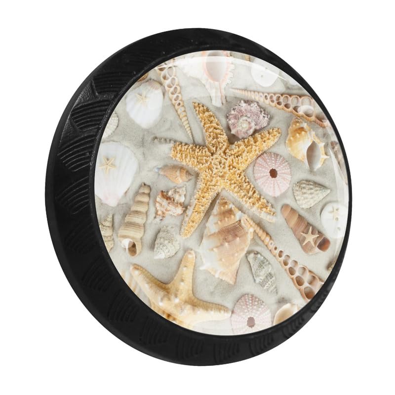 Sea Shell Star Fish