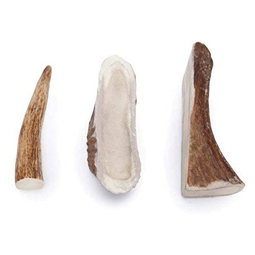 Natural ELK Antler Dog Chews for Dental Health - Small (4