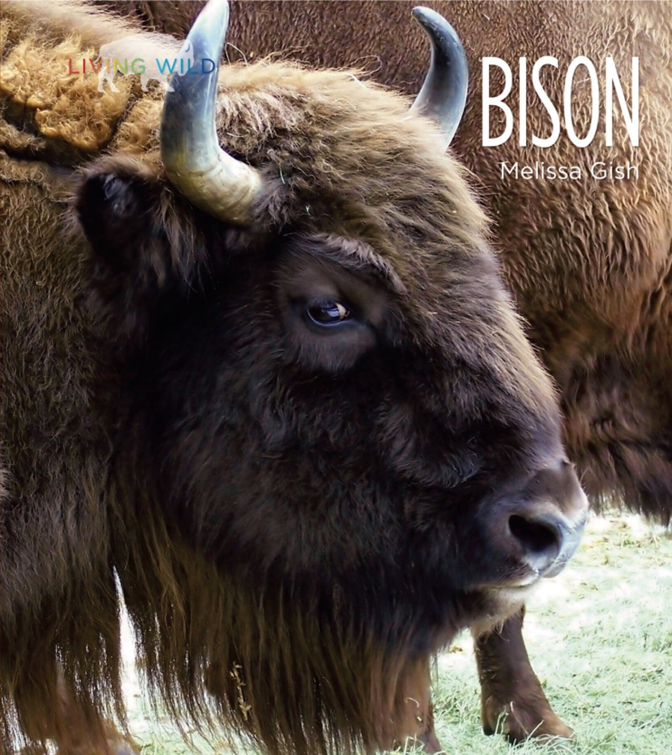 Bison 978-1-60818-077-6 Book - Perfect for Reading, Collecting, and Academic Research