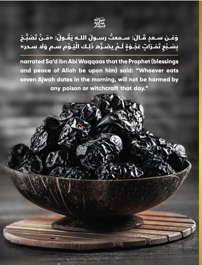 Premium Ajwa Almadina Dates 1000g - Organic Medjool Dates from Saudi Arabia - Natural Energy Snack for Ramadan, Healthy Breakfast & Gift Box