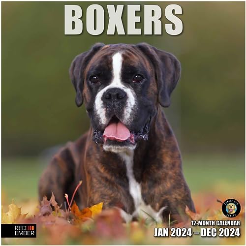 06 - Boxers