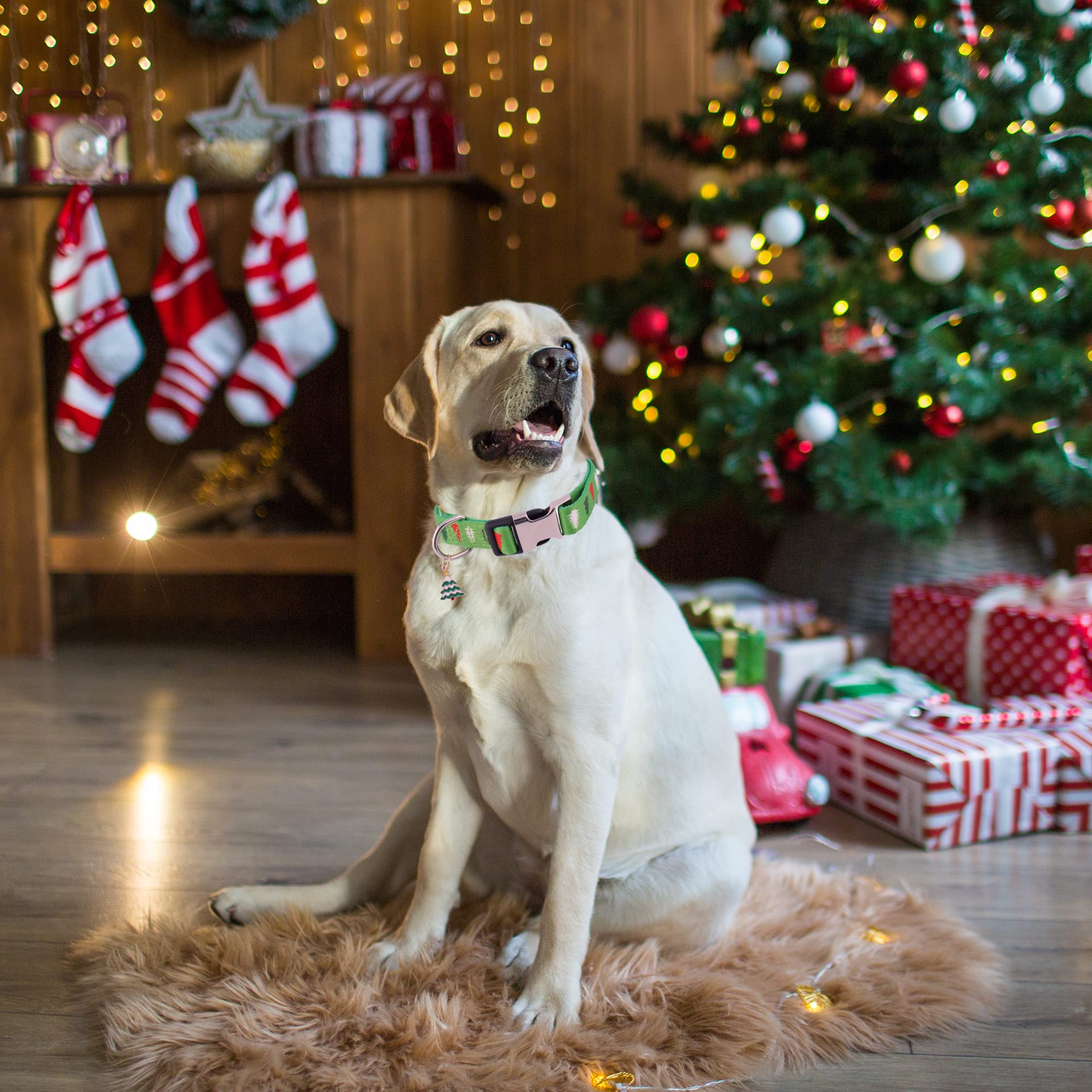 ADOGGYGO Adjustable Christmas Dog Collar - Festive Xmas Tree Pet Collar in Soft Green for Small, Medium & Large Dogs (Large Size) | Perfect for Holiday Photos, Christmas Parties & Seasonal Walks