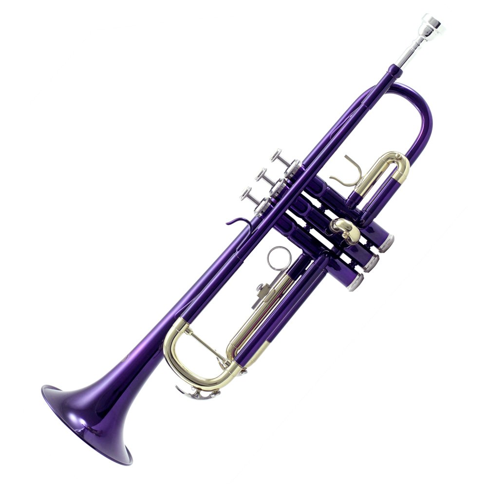 Professional Sky Band Approved Purple Plated Bb Trumpet with Hard Case, Cleaning Cloth, Gloves & Valve Oil - Perfect for School Bands, Jazz Ensembles & Marching Performances