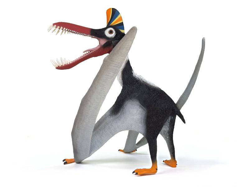 CollectA Guidraco Dinosaur Figurine - Realistic Pterosaur Model for Kids & Collectors - Perfect for Educational Play, Diorama Displays & Dinosaur Enthusiasts