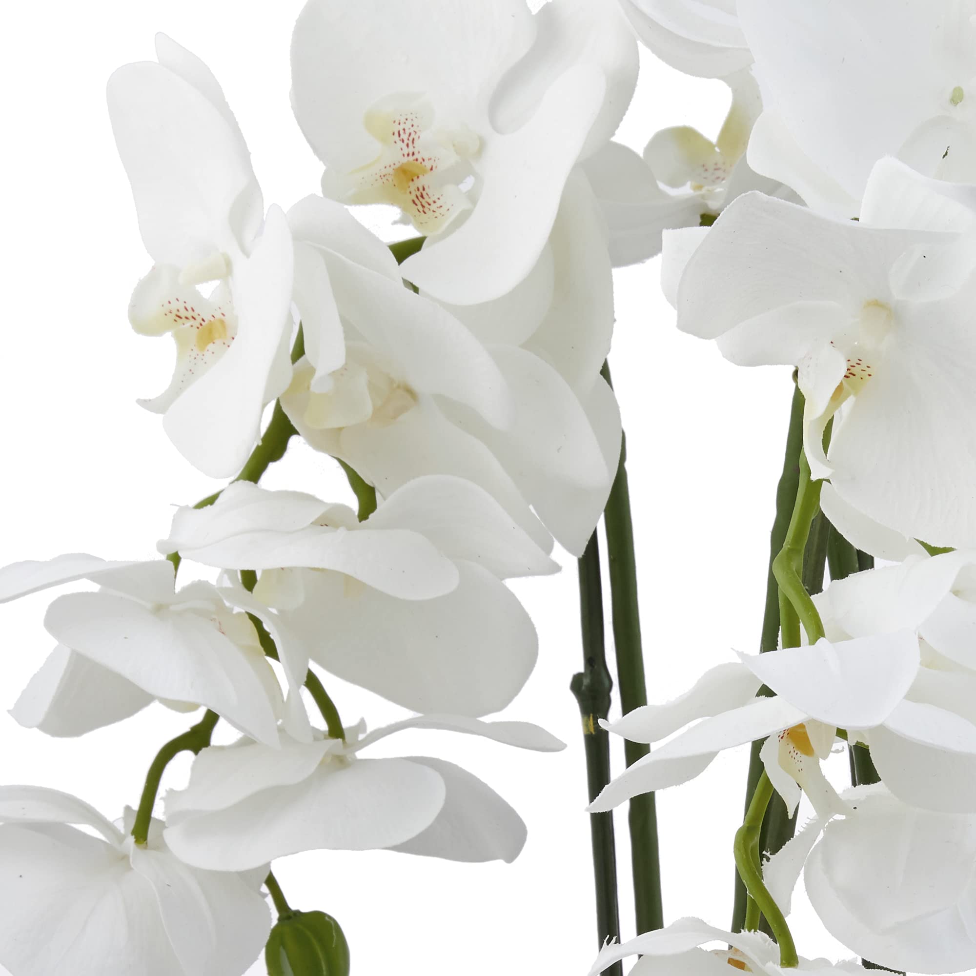 Nearly Natural 4570 Triple Phalaenopsis Orchid in Glass Vase - Green & White Silk Flowers for Home Decor, Office, Wedding Centerpiece, and Gift Ideas