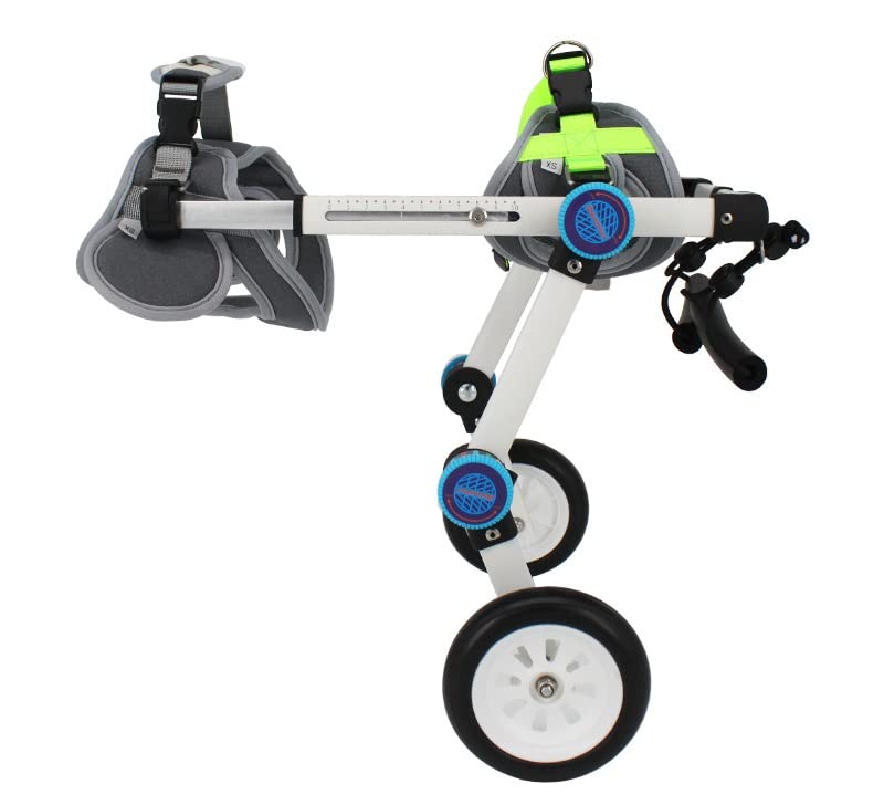 Small Dog Wheelchair for Back Legs - Adjustable Pet Mobility Aid for Disabled Dogs, 2-Wheel Support for Rehabilitation & Walking Assistance - XS White - Perfect for Senior Dogs, Post-Surgery Recovery & Paralysis Support