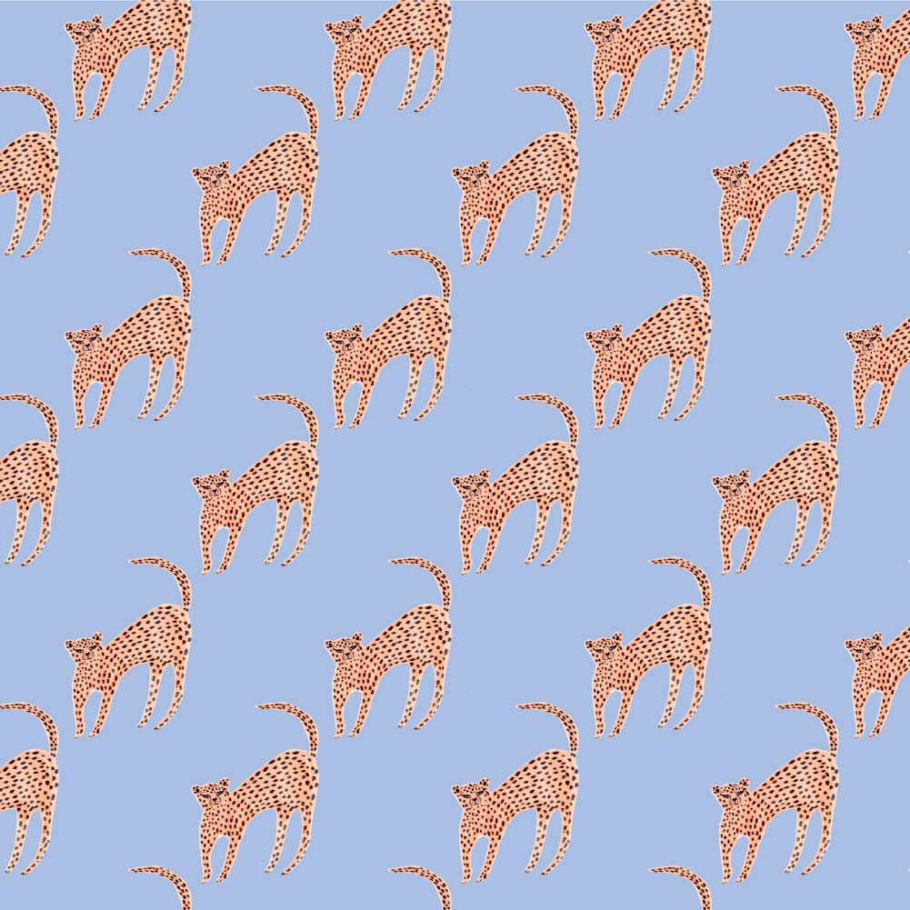 GRAPHICS & MORE Spiffy Cheetahs Gift Wrap Paper Rolls - Cheetah Print Wrapping Paper for Birthday, Christmas, Baby Shower & Party Gifts