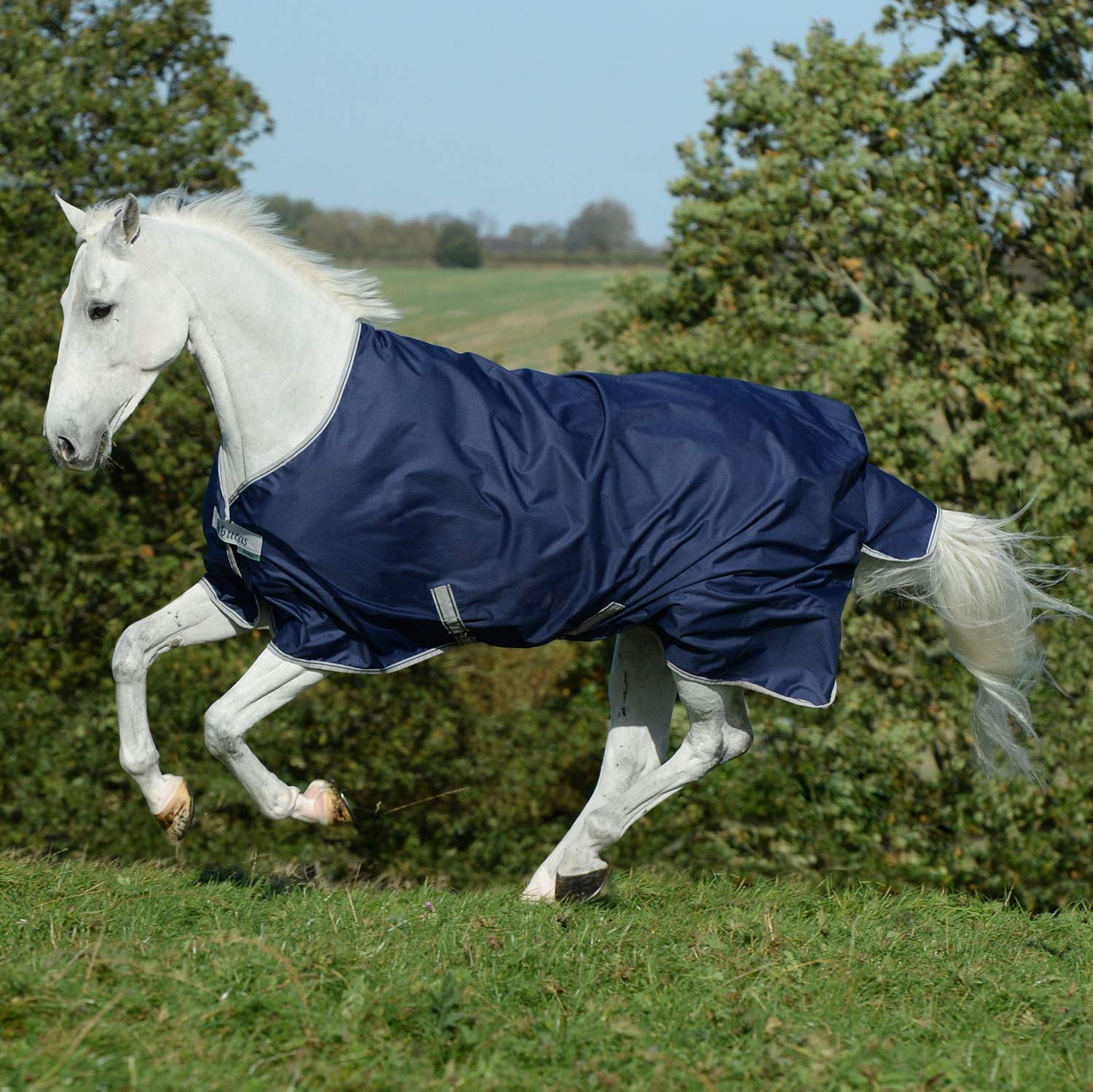 Freedom Medium Weight Turnout Blanket for Horses - Waterproof & Breathable Stable Sheet for Winter & Cool Weather Riding, Training & Turnout Protection