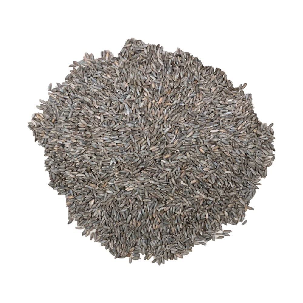 Old Cobblers Farm Winter Rye Seeds - Non-GMO, Organic Cover Crop (1lb Bag) for Soil Erosion Control & Green Manure in Home Gardens & Farms