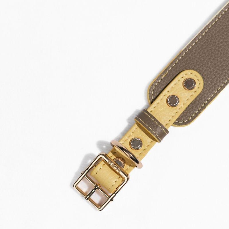 Premium Genuine Leather Dog Collar with Adjustable Buckle - Stylish & Durable Pet Accessory for Walking, Training & Outdoor Adventures