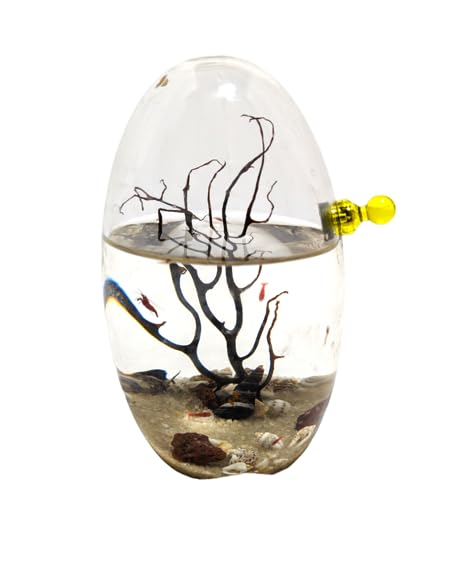 Self-Sustaining Glass Shrimp Ecosphere - Oval Shrimp Habitat Kit with Live Plants & Micro Ecosystem - Perfect for Home Office Decor, Science Education & Stress Relief Gifts