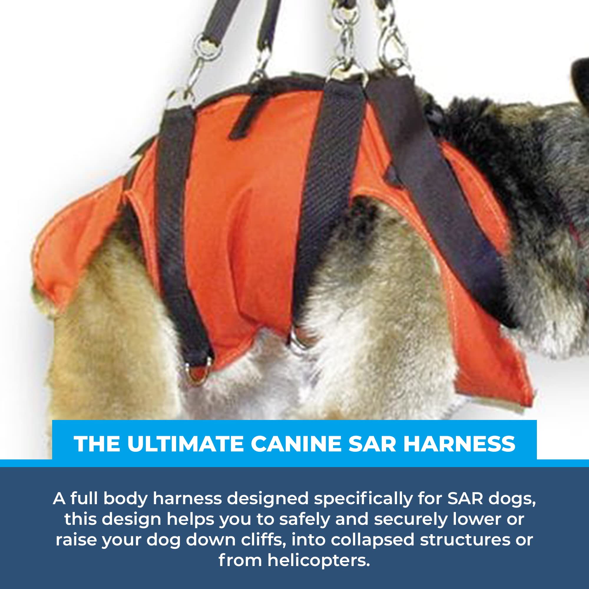 Rock-N-Rescue Heavy Duty SAR Dog Harness - Wear-Resistant Nylon Vest for Small & Large Dogs - Black Small Size - Perfect for Search & Rescue Missions, Hiking & Outdoor Adventures