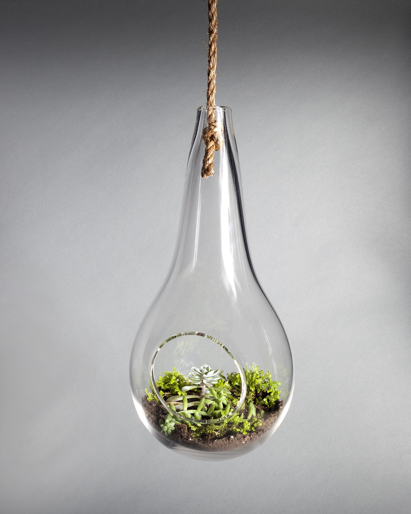 Large Hand-Blown Glass Hanging Terrarium for Plants - Perfect for Home Decor, Office, or Gift Ideas | Indoor & Outdoor Plant Display