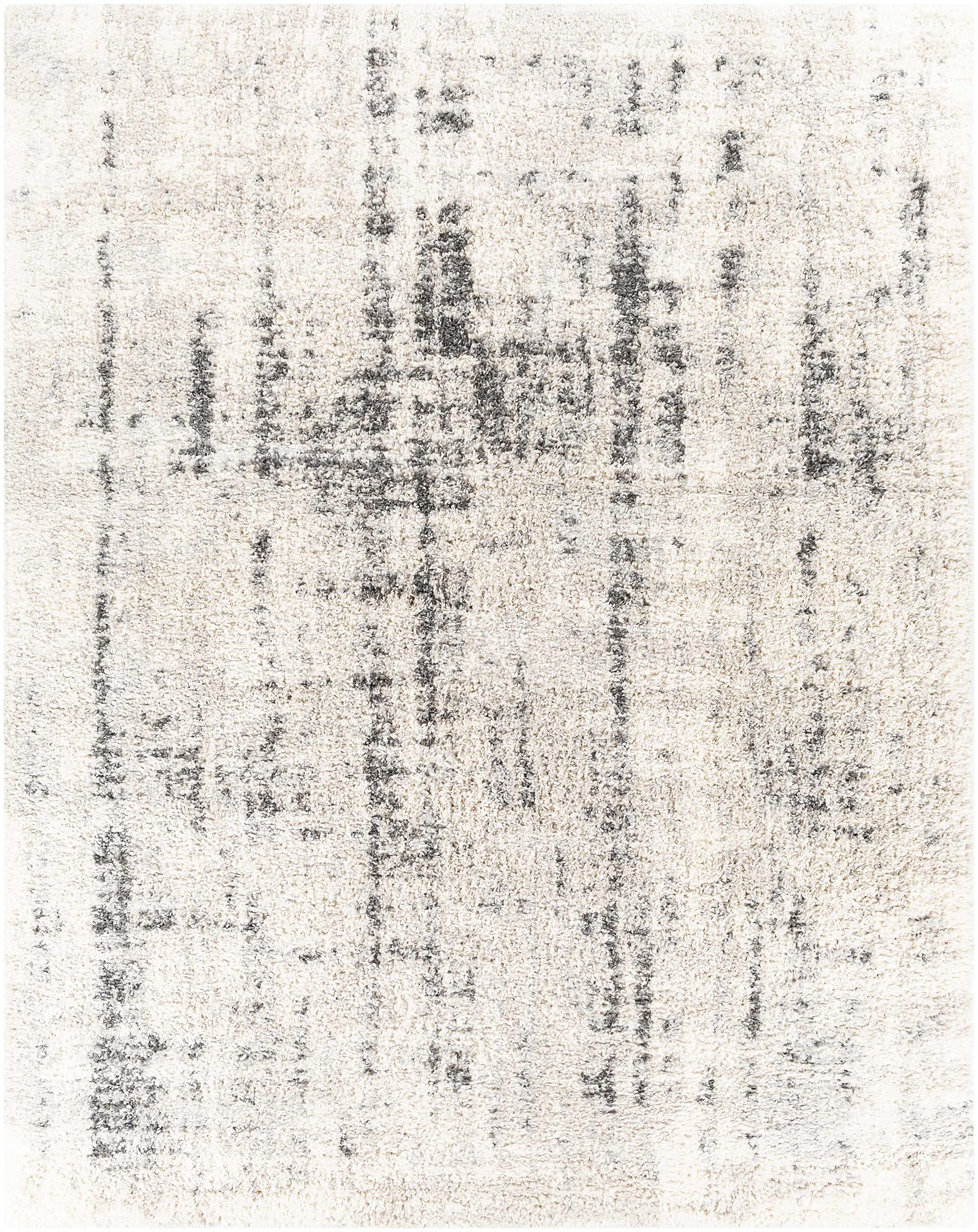 Modern Plush Pile Hauteloom Campion Area Rug for Living Room & Bedroom - Soft Beige & Black - 5'3
