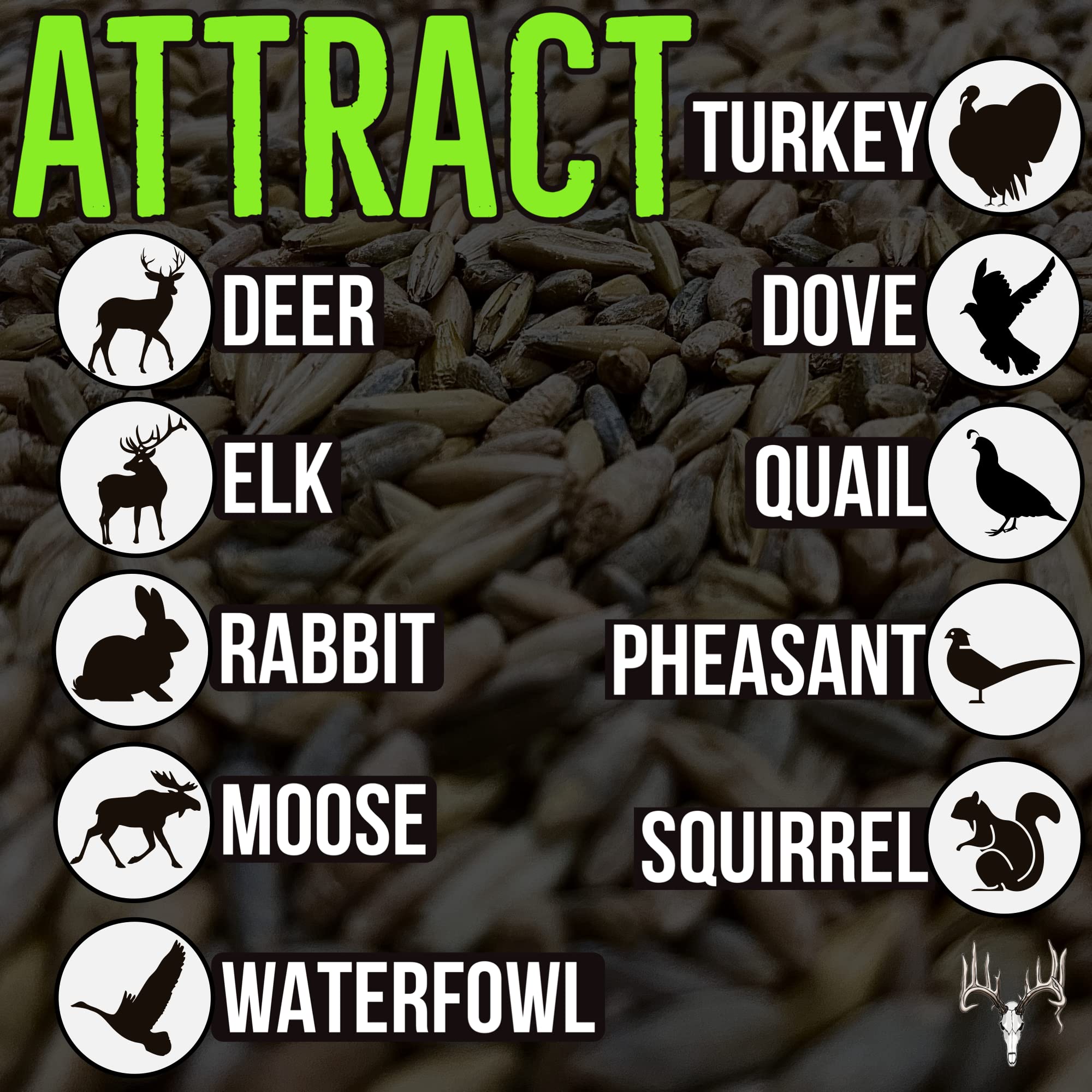 25LB Bulk Deer Food Plot Seed - Premium Mix of Cereal Grain Rye, Wheat, Triticale, Barley & Oats - Attracts Pheasant, Turkey, Dove & Wildlife - Ideal for Whitetail Hunting Food Plots, Pastures & Wildlife Habitats