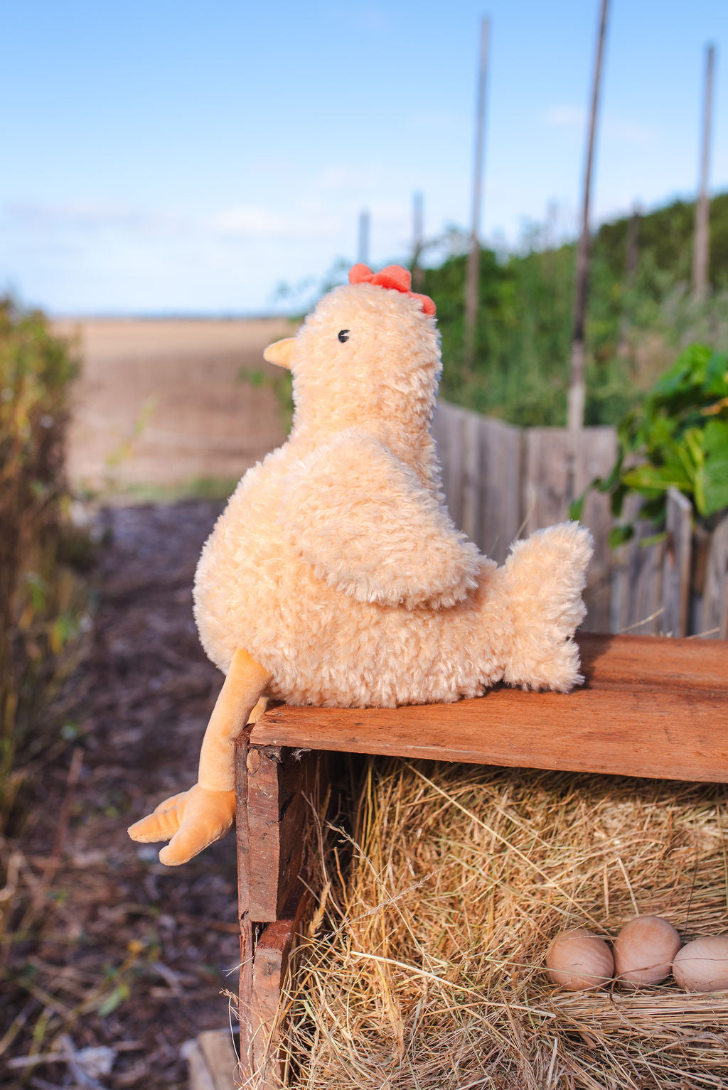 Harriet the Hen Honey - Pure Natural Raw Honey for Baking, Tea & Healthy Snacks | Farm Fresh & Unprocessed | Perfect for Breakfast, Smoothies & Gifts