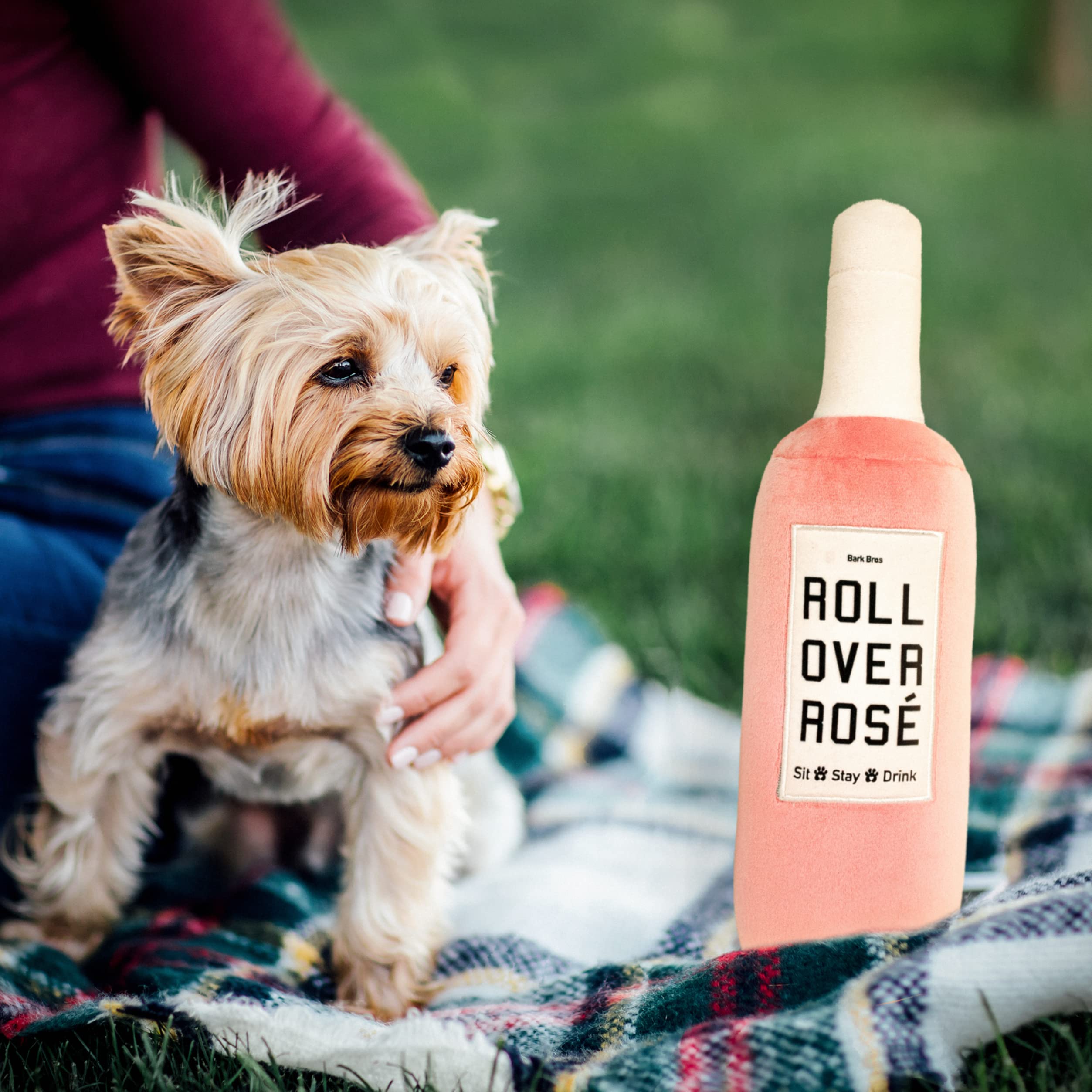 Rose Wine Bottle Dog Toy - Plush Squeaky Puppy Gift for Birthday Play