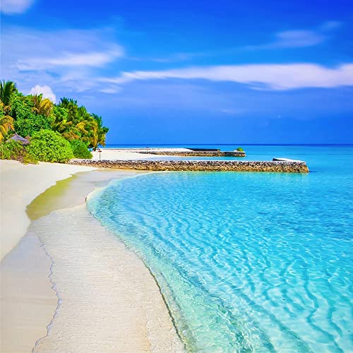 Beach - Soft Sand