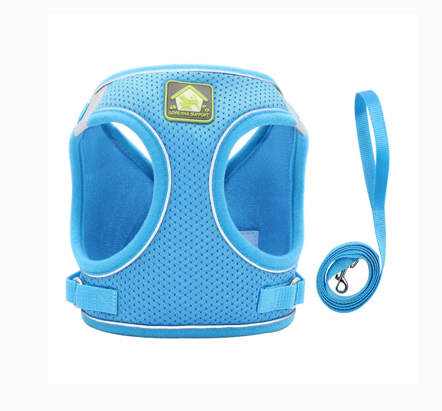 Leconpet Step-in Dog Harness with Leash Set - Breathable Mesh Reflective Vest for Small & Medium Dogs & Puppies (Blue, XS) - Perfect for Walking, Training & Outdoor Adventures