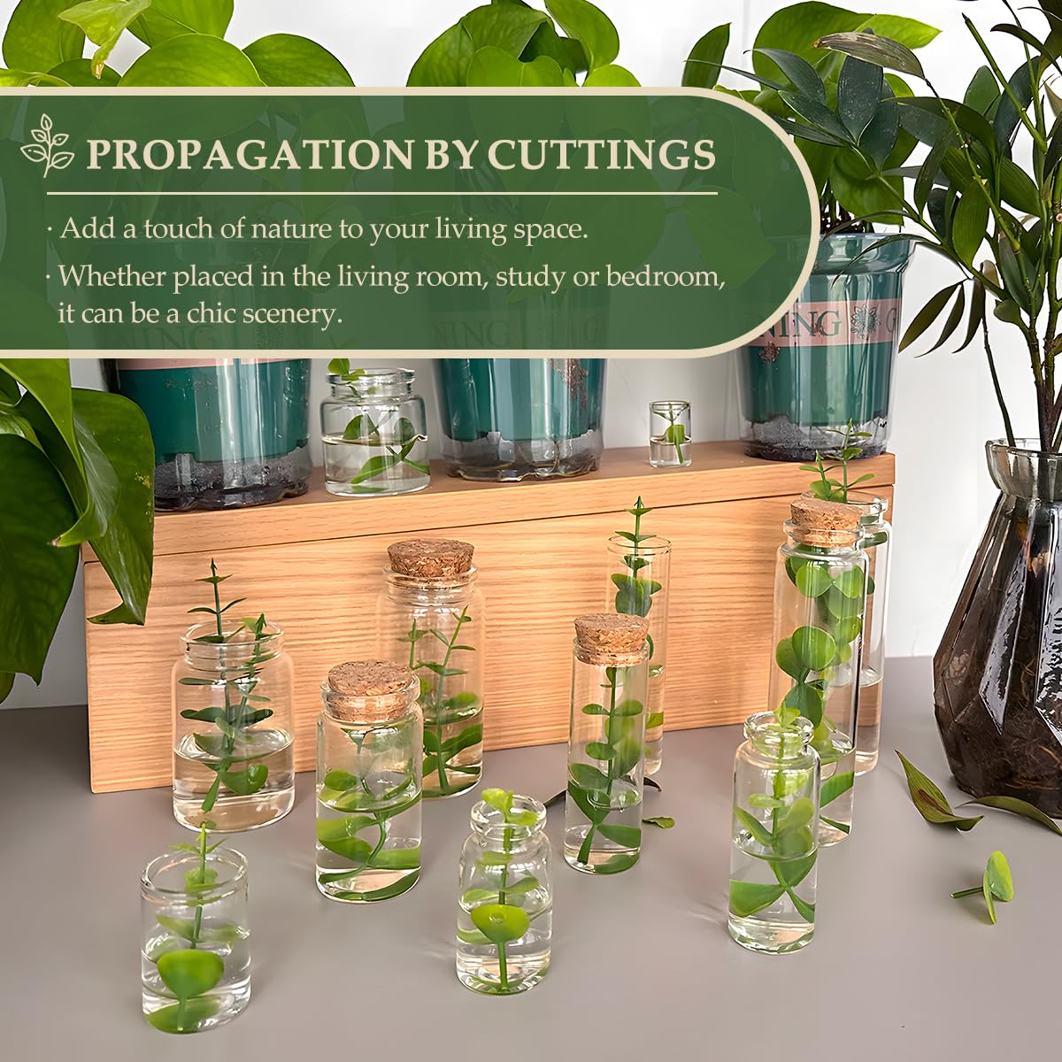 55pcs 40ml (1.18 oz) Glass Essential Oil Bottles with Cork Stoppers - 1.18x3.15 Inch Small Glass Containers for Aromatherapy, DIY Perfume & Liquid Storage