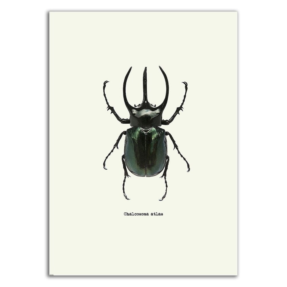 Beetle Black by GraphINC - Premium Canvas Wall Art Print, Ready to Hang - Perfect for Living Room, Bedroom & Office Decor
