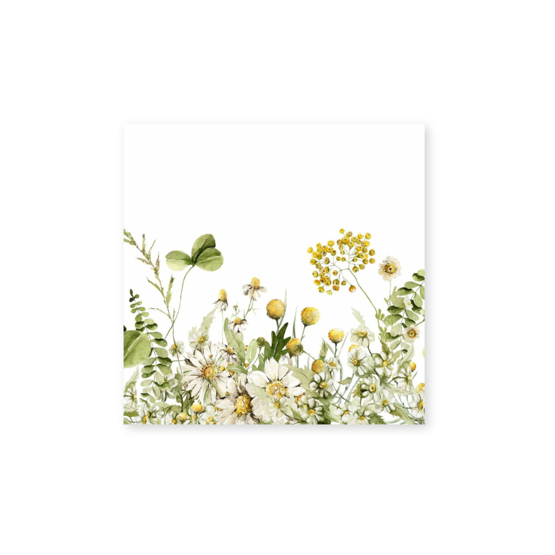 Eco-Friendly Disposable Paper Cocktail Napkins 16 Pack - Daisy Floral Design for Parties, Weddings & Home Decor | Premium Absorbent Drink Coasters for Beverages, Bar & Restaurant Use