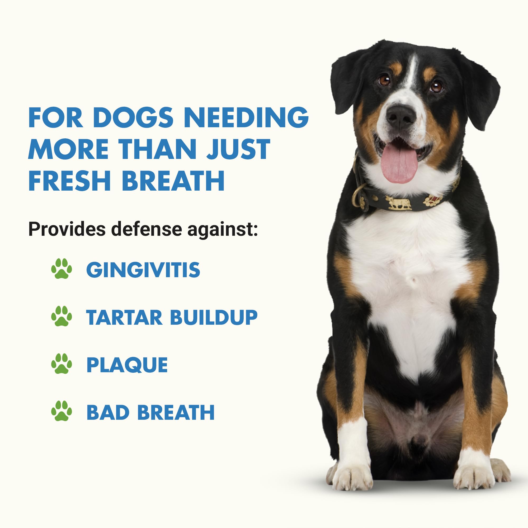 Cool PET Holistics K9 Advanced Dental Care Formula for Dogs - Teeth & Gum Health Supplement, Chicken Flavor, 8 oz BOGO Trial Pack | Supports Fresh Breath & Plaque Control for Small & Large Breeds - Perfect for Daily Oral Care Routine