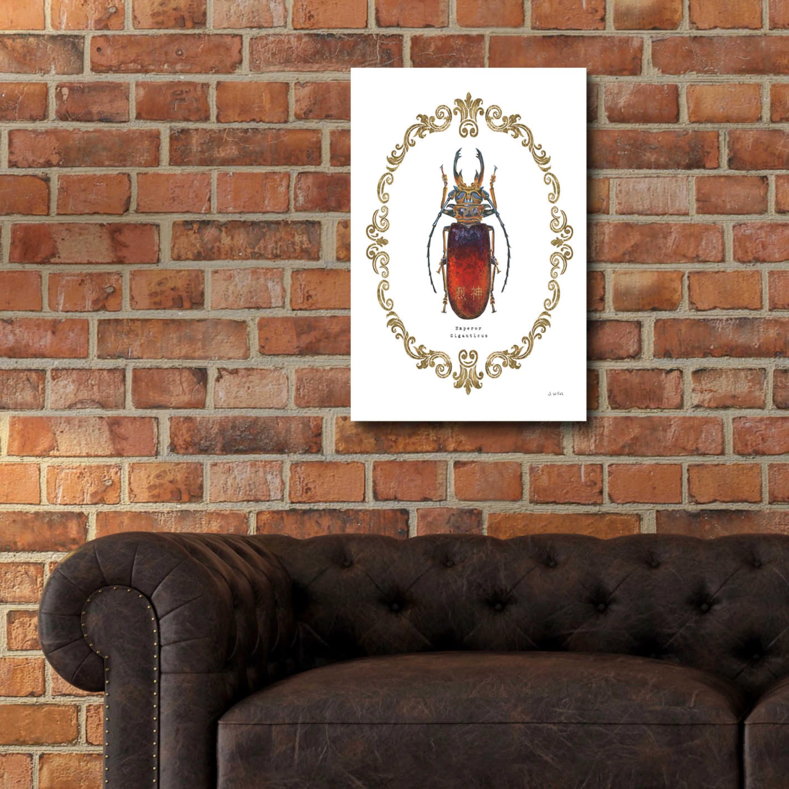 Adorning Coleoptera I by James Wiens - 16x24 Inch Acrylic Glass Wall Art Painting | Modern Home Decor for Living Room, Bedroom & Office