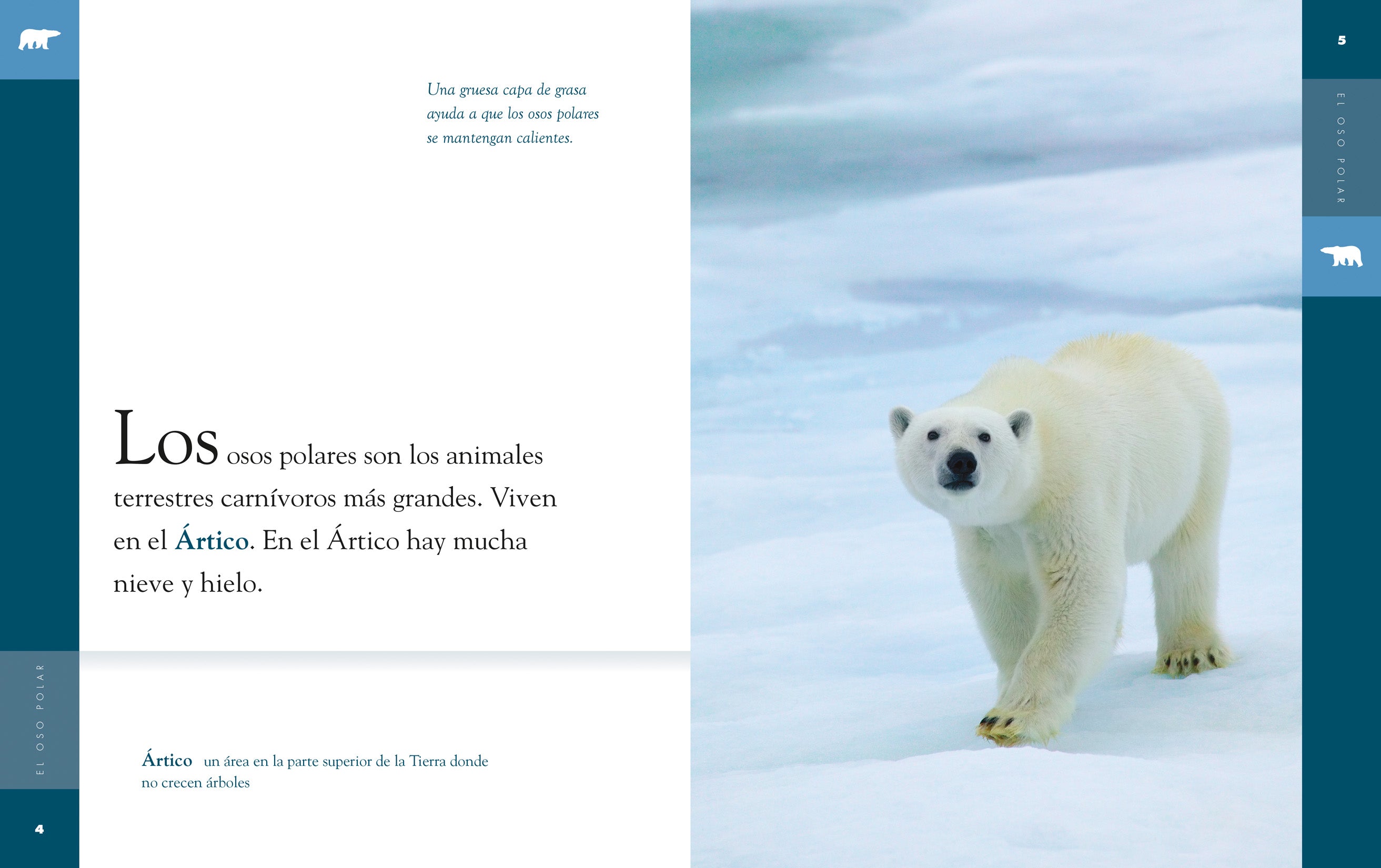 Polar Bear Book 9781640262652 - Wildlife Education & Nature Reading for Kids & Adults