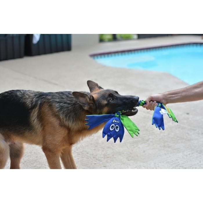 Jolly Pets Flat Head Dog Toy - Durable Chew Toy for Aggressive Chewers, Interactive Play & Training - Perfect for Large Dogs, Puppies & Strong Chewers (Great for Fetch, Tug-of-War & Dental Health)