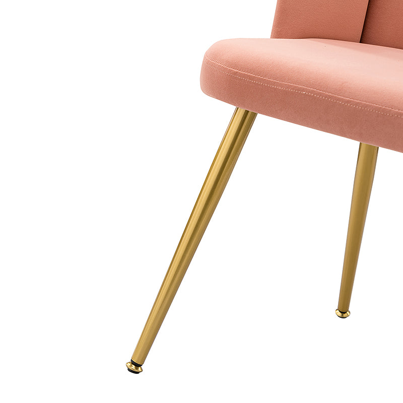 Elodia Side Chair - Modern Accent Chair for Dining Room, Living Room & Office - Sturdy Wooden Frame with Upholstered Seat - Perfect for Home Decor & Small Spaces