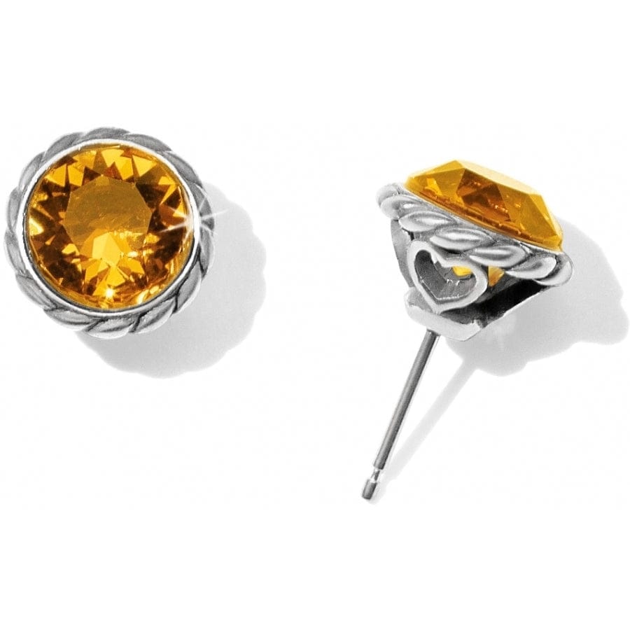 Stylish Iris Stud Earrings for Women - Dainty Floral Flower Jewelry - Perfect for Everyday Wear, Gifts & Special Occasions