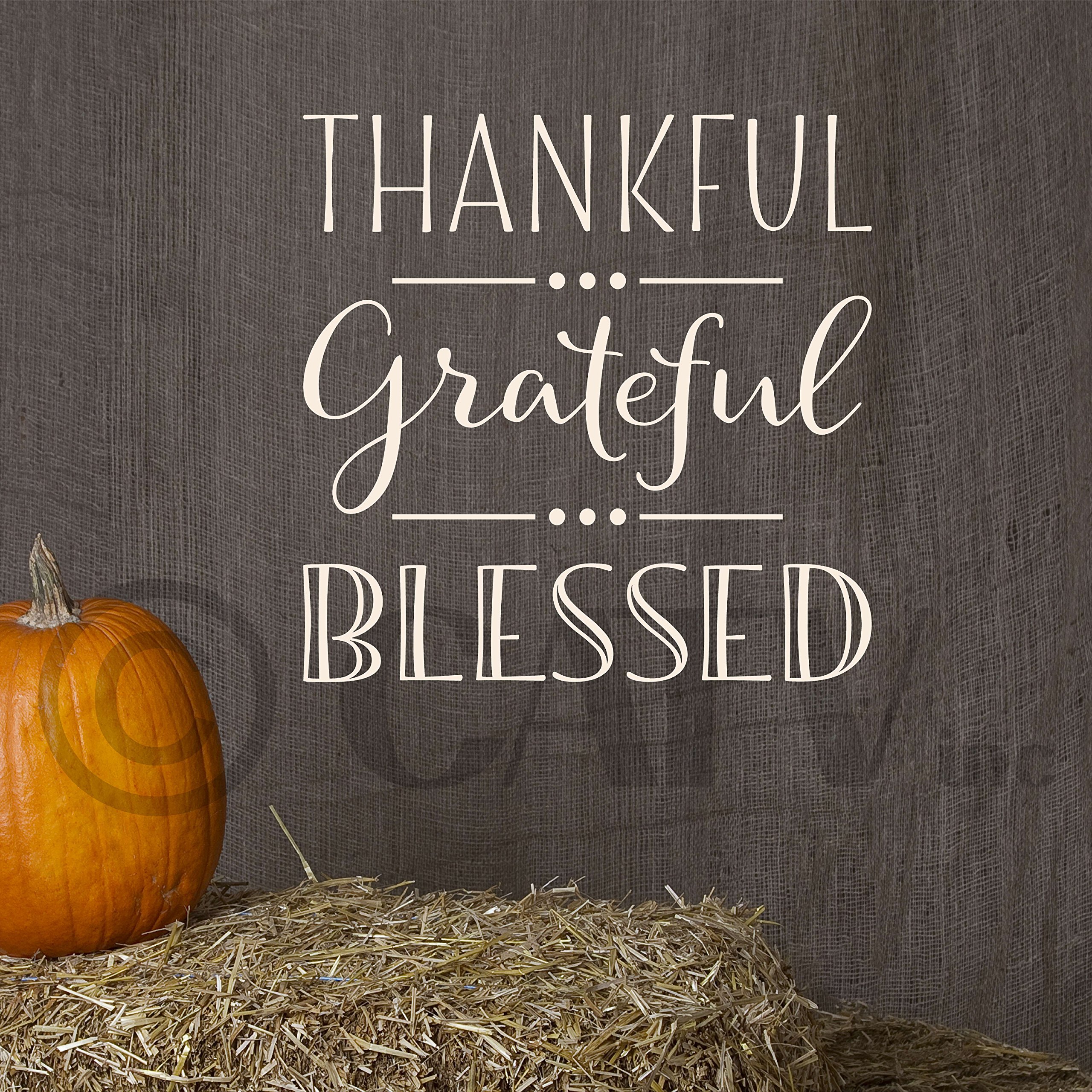 Thankful Grateful Blessed Vinyl Wall Decal Sticker - 10x10 Inch Eggshell Finish - Perfect for Home Decor, Nursery, Office & Gift Giving