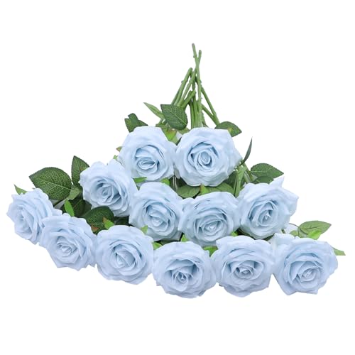 12 Ice Blue