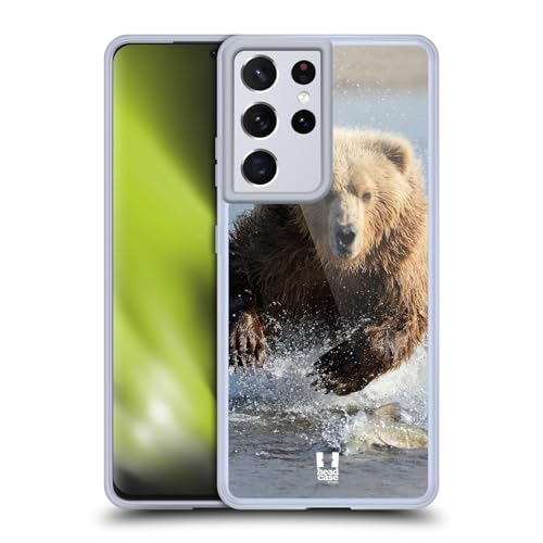 Grizzly Bear Jumping